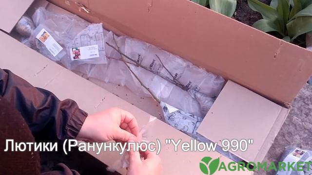 Відгук Агромаркет Альона 161571567596 смотреть онлайн