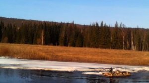 р.Нижняя Тунгуска