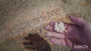 Стартовый комбикорм для поросят!!! для Мега приростов!