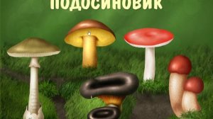 Лесные грибы - развивающее видео для детей от 3 лет.