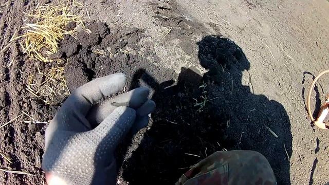 Quazar ARM 200 тест и коп! смотреть онлайн