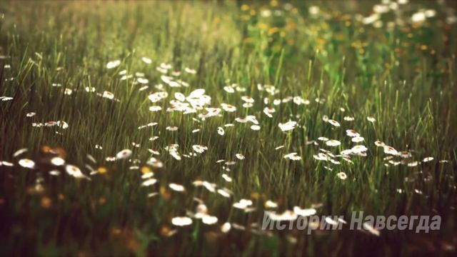 Тетя, я очень-очень хочу кушать, сказала ей девочка… смотреть онлайн