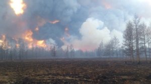 Горит тайга в Бурятии