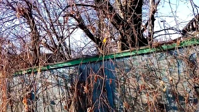 "Потайная" калитка в заборе смотреть онлайн