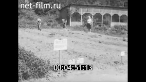 1984г. село Орехово. школа. Галичский район Костромская обл