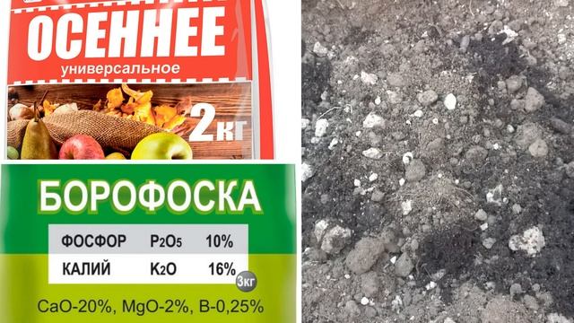 КАК ВОССТАНОВИТЬ ПЛОДОРОДИЕ ПОЧВЫ после СБОРА УРОЖАЯ/ КАК УЛУЧШИТЬ СТРУКТУРУ ПОЧВЫ.