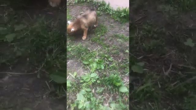 VIDEO 2023 05 18 11 03 16 1 смотреть онлайн