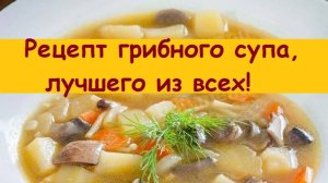 Идеальный рецепт супа из разных грибов, хранящийся с времен моего пионерского детства