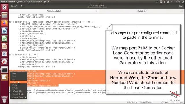 Docker Containers Managed by NeoLoad Web смотреть онлайн