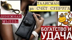 Талисман на финансовую удачу. Оберег на деньги и удачу. Кошельковая мышь для привлечения денег