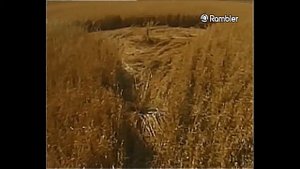 Вся правда об НЛО: Круги на полях.