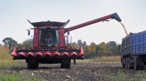 Комбайны CASE IH 6140 и 6140 Cross Flow на уборке кукурузы Ростовская область и Краснодарский край