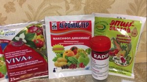 Стимуляторы роста растений: Вива, Максифол Динамикс, Рибав, Циркон и другие