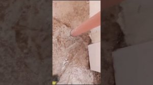 жидкое стекло