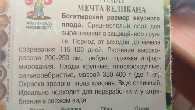 Томат МЕЧТА ВЕЛИКАНА. Высокорослые, но лучше для теплицы.