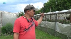 КАК ПРИТЕНИТЬ ТЕПЛИЦУ? ПРОВЕРЕННЫЙ НАДЁЖНЫЙ И НЕДОРОГОЙ СПОСОБ!