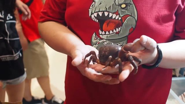 LIHAT PAMERAN REPTIL DI MOI смотреть онлайн