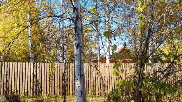 Вологодская Осень смотреть онлайн