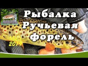 Весенняя рыбалка в Ленинградской области. Как поймать хариуса. Ловля ручьевой форели. (МАЙ 2019)