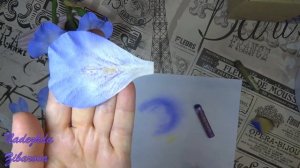 Ирис из фоамирана и холодного фарфора (мастер класс 1 часть)