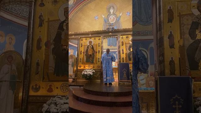 Божественная Литургия.Прямая трансляция.15 февраля 2024 года. смотреть онлайн