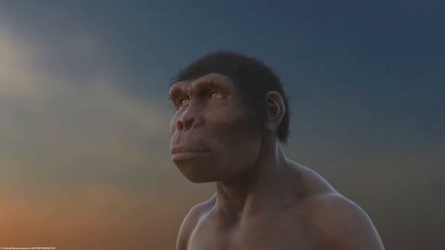 Первобытность. История и предыстория, появление человека.