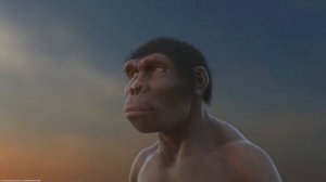 Первобытность. История и предыстория, появление человека.