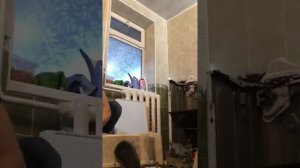 Замена подшипников на стиральной машине Bosch!