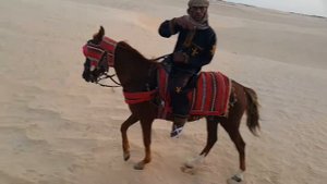 Пустыня Сахара . Караван .