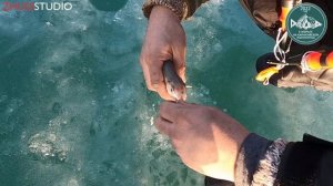 Рыбалка на Капчагайском водохранилище в феврале 2022 года.