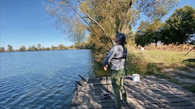 Огромный карп чуть не сломал снасть! Лучший монтаж на карпа, как связать! смотреть онлайн