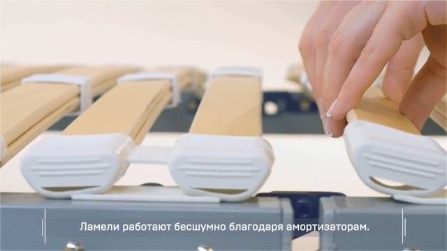 Ортопедические основания Торис.