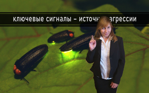 ИМПУЛЬСИВНАЯ АГРЕССИЯ - ПРОБЛЕМА КАЖДОГО ИЗ НАС