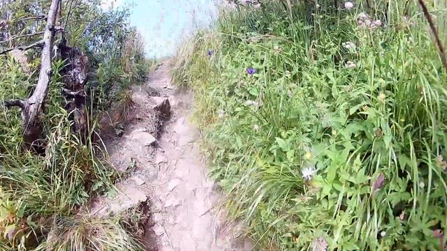 Путешествие 2019 Брестская крепость - Львов - Сколе - Карпаты смотреть онлайн