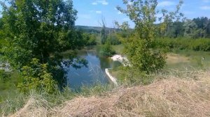 Пруд на Сафоновке Белгородская область?купальный сезон продолжается ?️?️