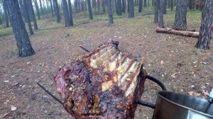 Готовим на вилах ! Свиные рёбра в Медово-соевым соусе