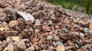 ?️Борус! Поход в горы ?Саяны ? Красноярский край ?  Природа России?