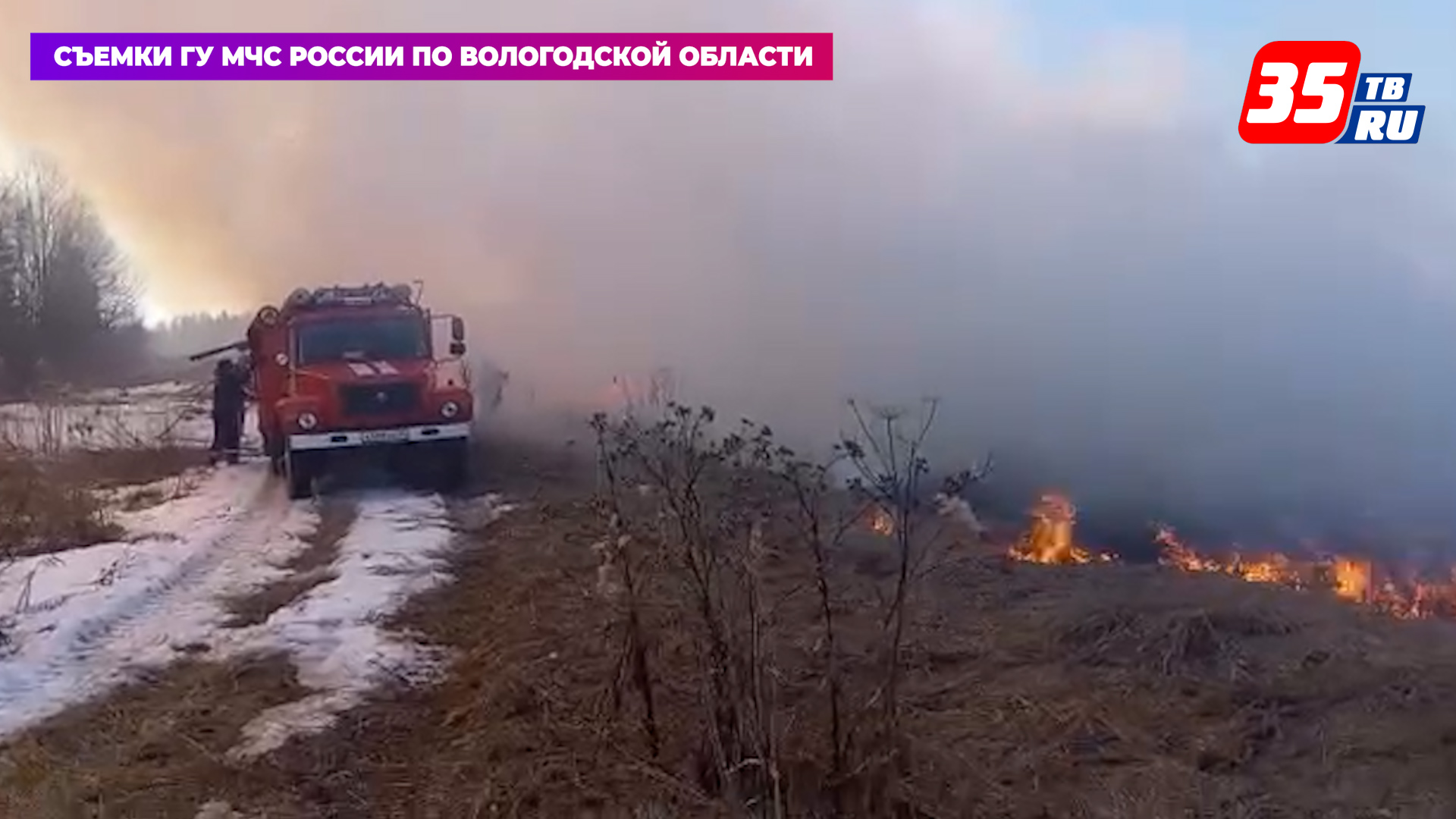 В Вологодской области участились сельхозпалы
