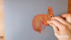 Eichhörnchen zeichnen mit Pastellkreiden/ Squirrel drawing with pastel/ Белочка пастелью/ Écureuil