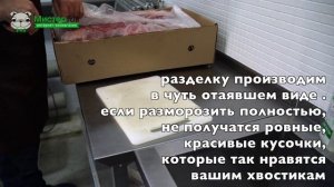 Экскурсия на завод по производству лакомств Мистер Гав!