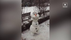 Всемирный день снеговиков или как должна выглядеть идеальная фигура из снега