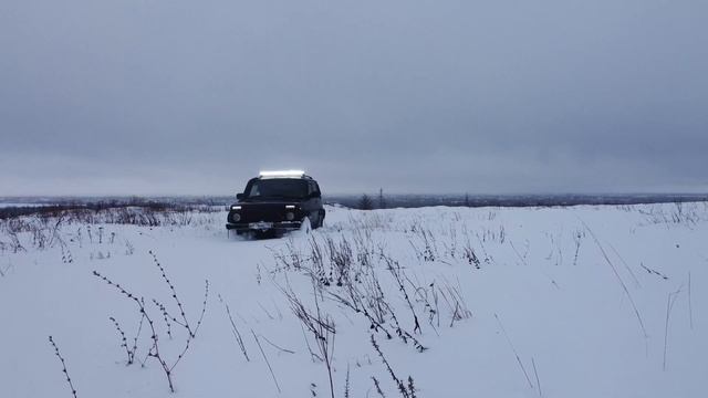 Бронто по мокрому снегу. смотреть онлайн