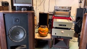 Когда трава была зеленее Diatone 2s 305D