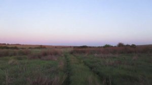 Пешком по левобережной части заброшенной Александровки (Татищевский район)