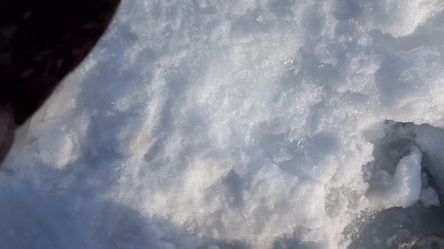 РЫБАЛКА ЭТО ВСЕГДА КЛЁВО! смотреть онлайн