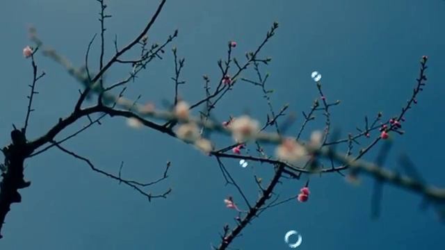 "Весенний джаз"
