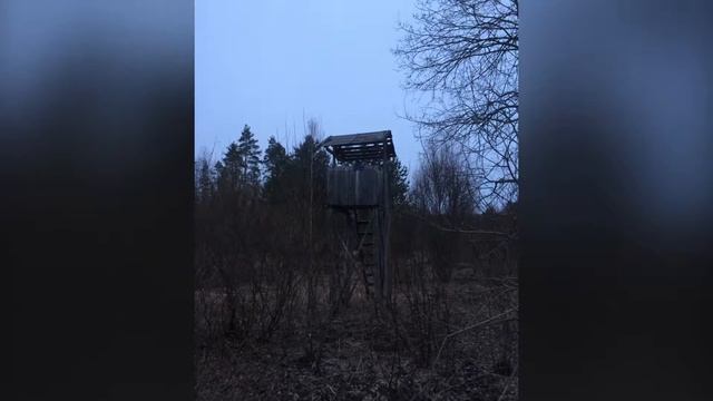 Кузнечное