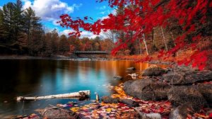 Sam 'The Man' Taylor - Are Out In The Name Of The Old