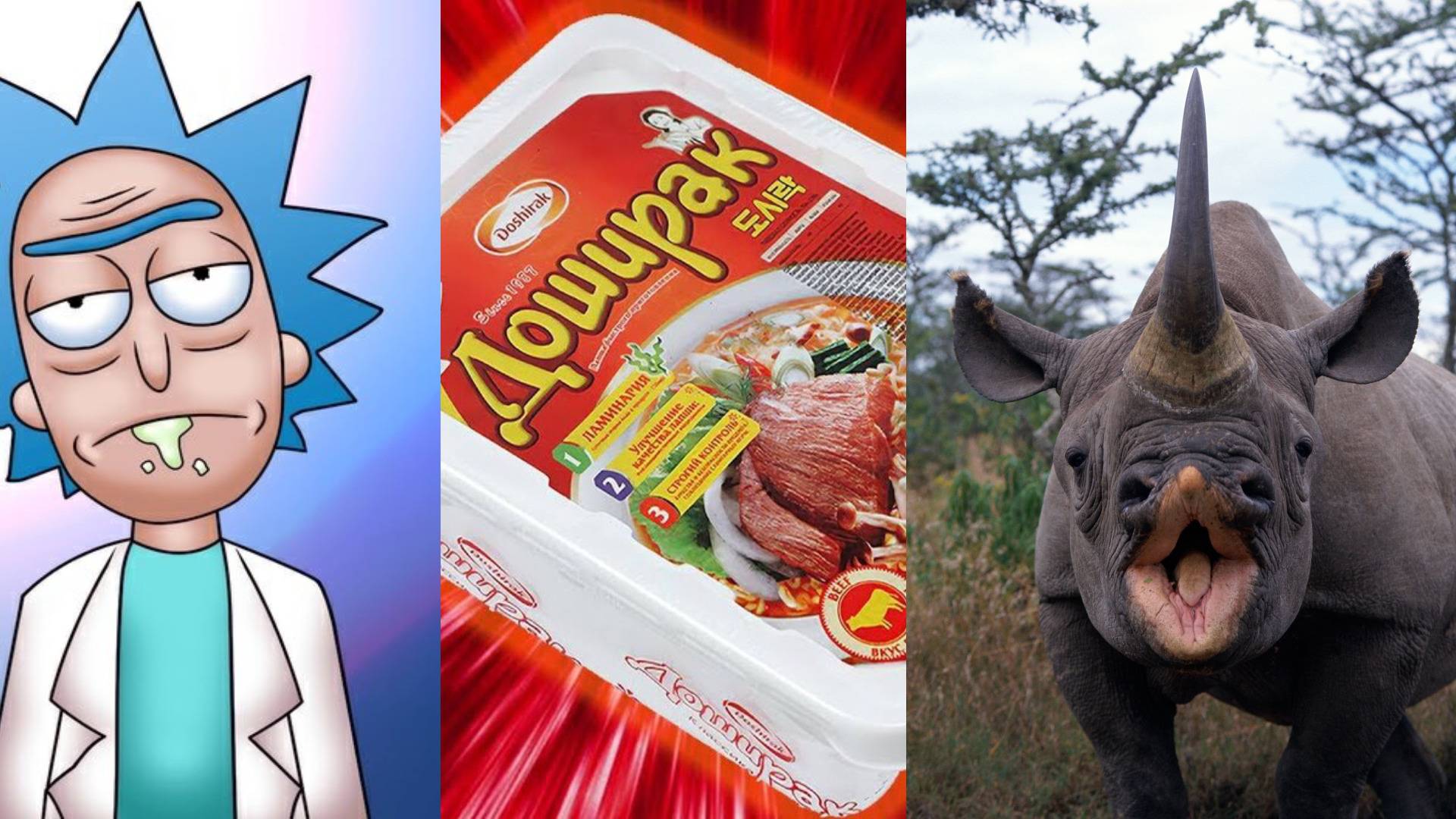 ПоФакту! Носорог Аристократ со Вкусом Доширака