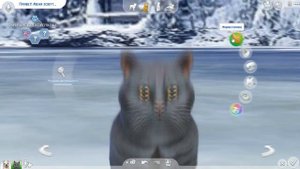 THE SIMS 4 | МОЯ ПАПКА MODS ДЛЯ ПИТОМЦЕВ